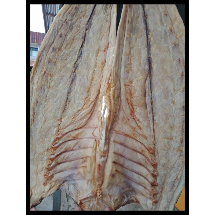 

DISKON TERBATAS !!! IKAN ASIN TALANG/JANPHU/YANPOU / JAMBAL ROTI KALBAR 500GR TERLARIS