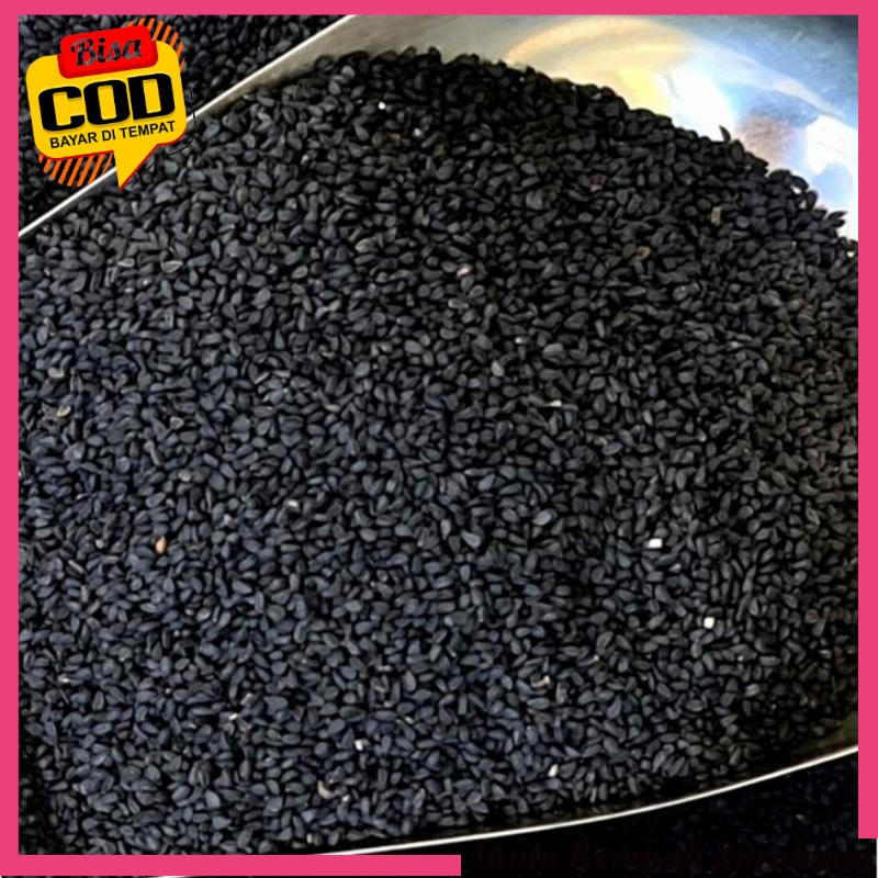 

COD Biji Jintan Hitam / Habbatussauda Biji Kualitas Bagus 500gr - Surabaya
