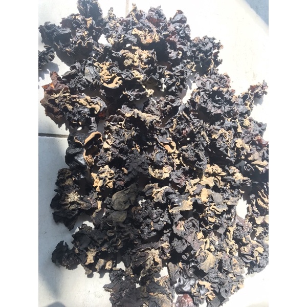 

Jamur Kuping Walet Curah ukuran 5kg
