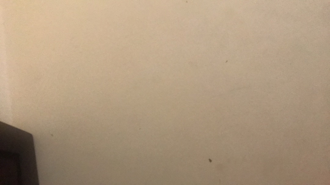 Sujeo Sendok Sumpit Korea Stainless Steel Motif Bunga (sendok + Sumpit) Korea