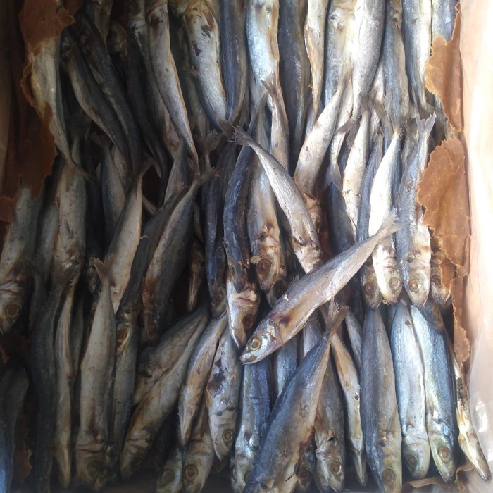 

layang asin 10 kg khusus ojek only