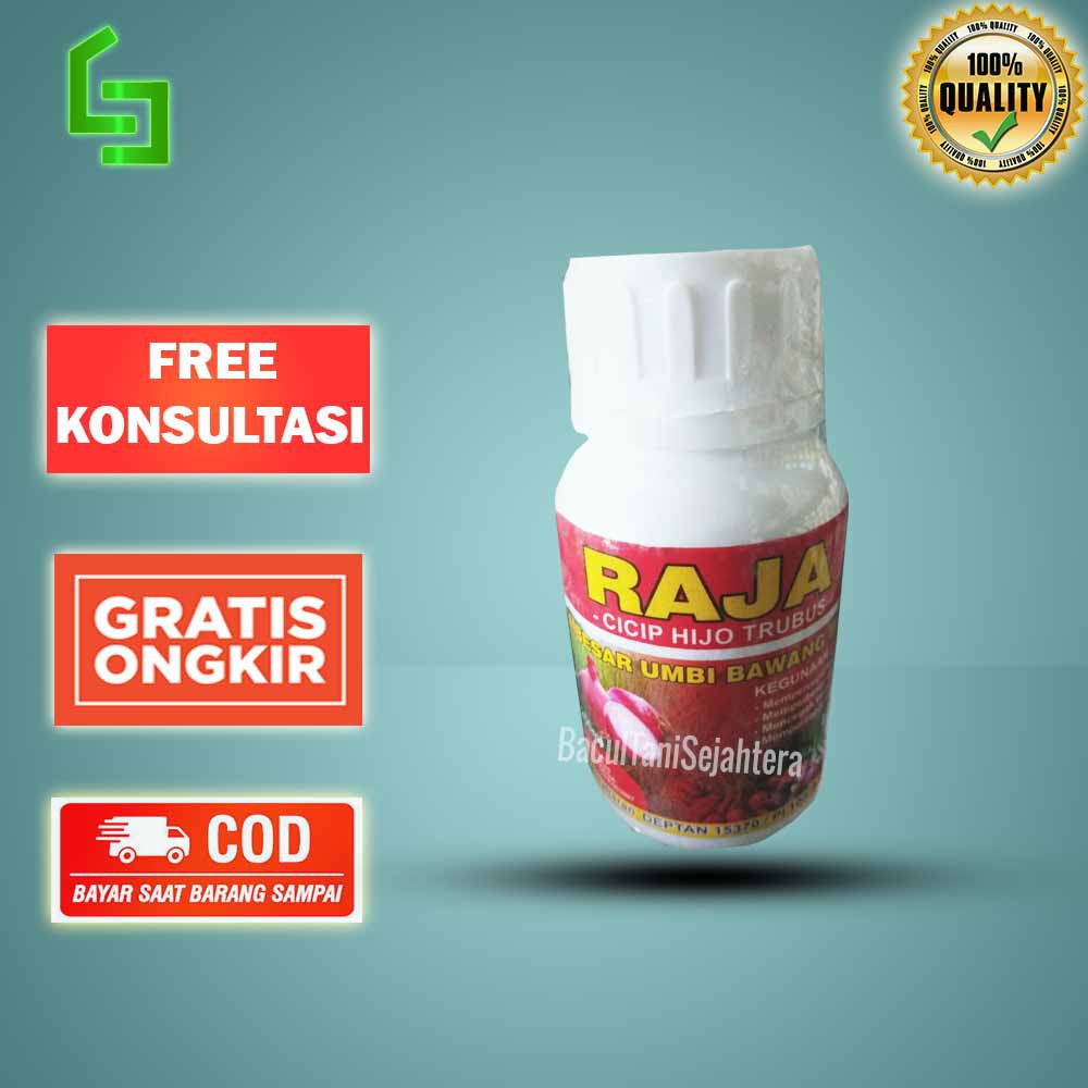 RAJA 250 ML pembesar umbi bawang merah trubus