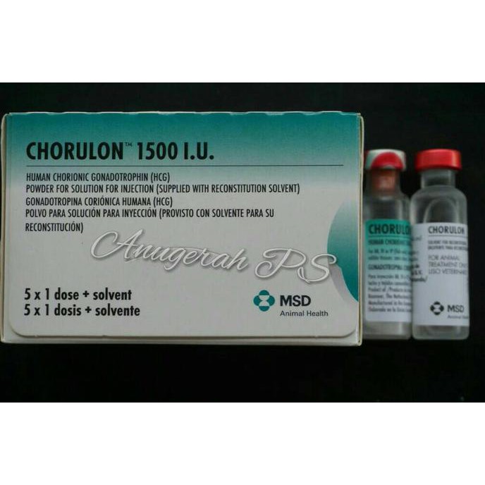 

Hormon Ikan Chorulon HCG 1500iu