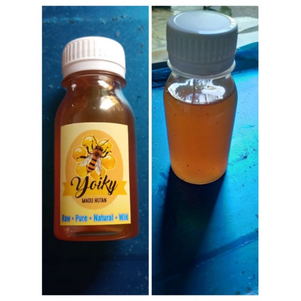 

YOIKY MADU HUTAN Multiflora Murni dan Asli