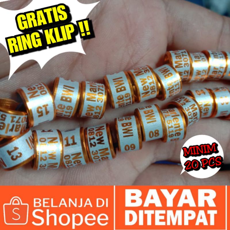 RING BURUNG PUTER/TEKUKUR/DERKUKU