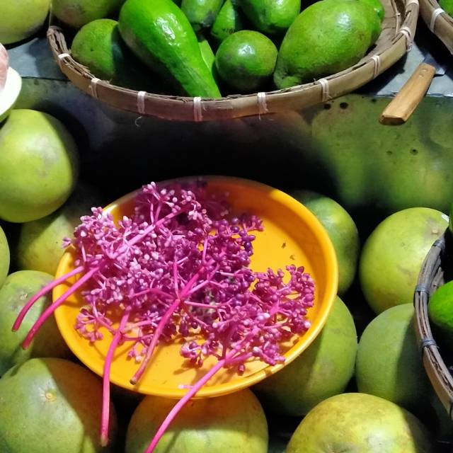 

Buah parijotho yang asli dari Gunung muria