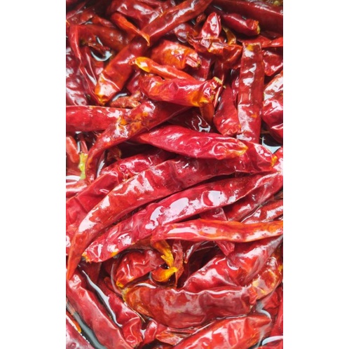 

Cabe teja/kering Grade A super india japlak 100gr murah pol