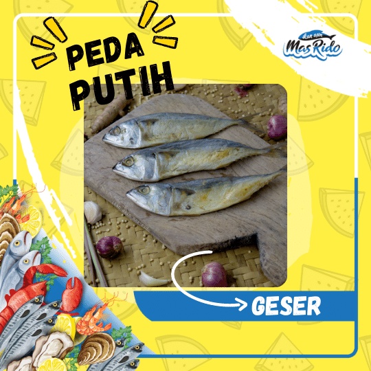 

IKAN PEDA PUTIH IKAN ASIN PEDA IKAN PEDA KEMBUNG IKAN ASIN PEDA IKAN ASIN PEDA LAYANG KWALITAS SUPER