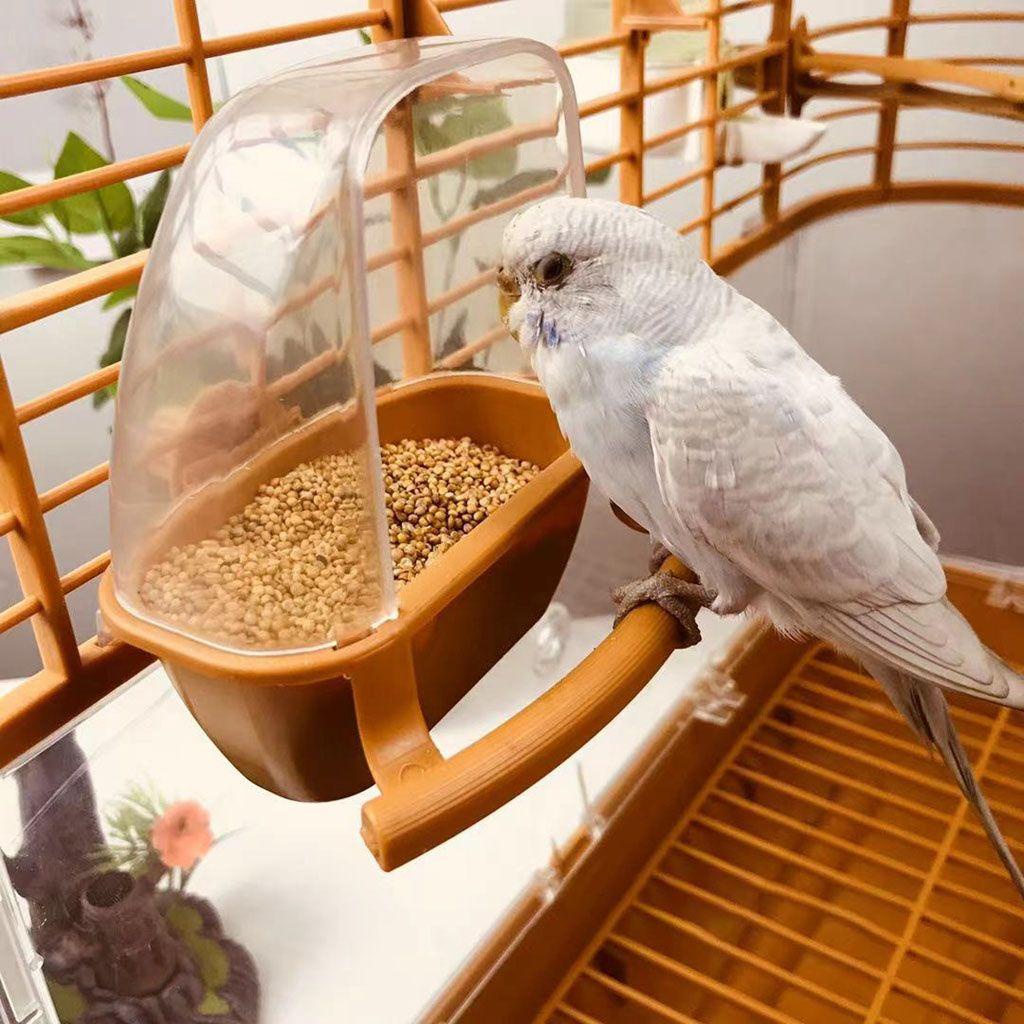 Nickolas1 Pengumpan Burung Desain Baik Splash Proof Bird Cage Decor Bermain Dan Makan Fix Di Kandang Burung Bening Watering Bowl