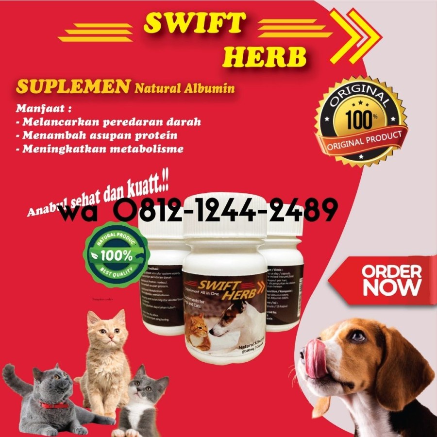 vitamin kucing kampung(PROMO SPESIAL DISKON 50%)