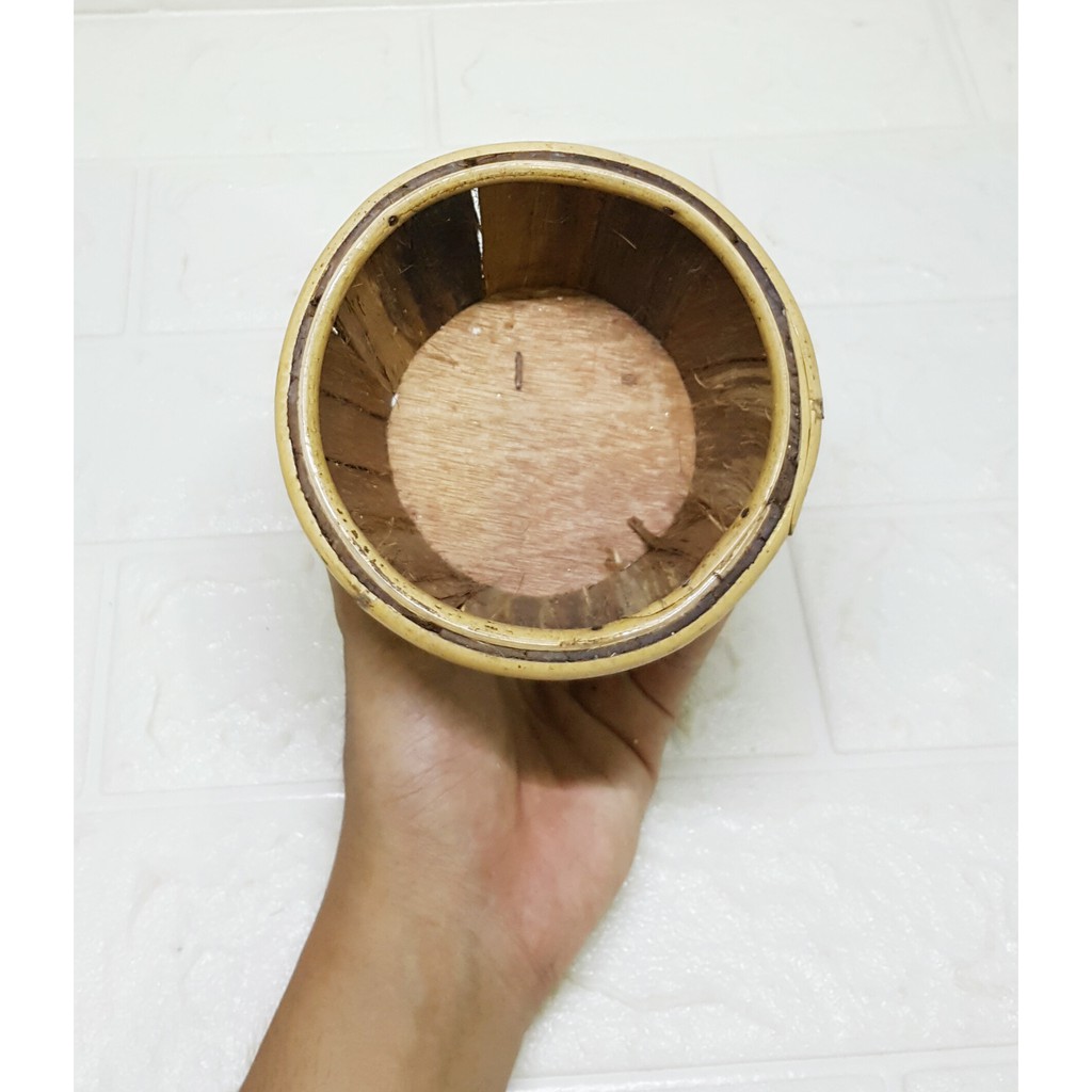 Pot Kulit kayu Bulat Vas Tanaman Hias pajangan Dekorasi Cantik