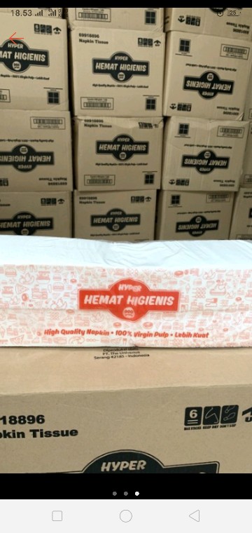 Tissue Nice 2ply 900gr - Susudot