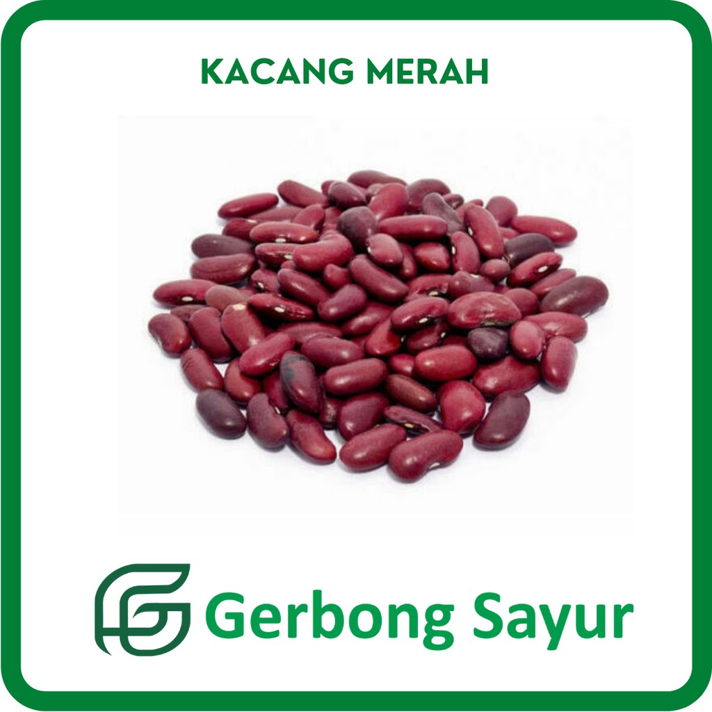 

Kacang Merah Segar - 500g