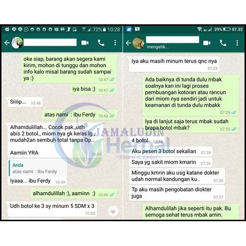Obat Herbal Penebalan Dinding Rahim, Kista Ovarium, Miom, Mioma Uteri, Polip Rahim, Kanker Serviks-3