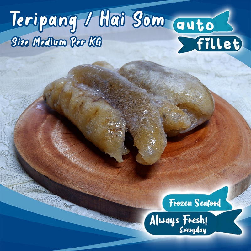 

TERIPANG HAISOM FROZEN FRESH SIZE MEDIUM KUALITAS PREMIUM MURAH GRAB GOSEND