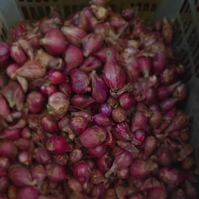

Bawang merah