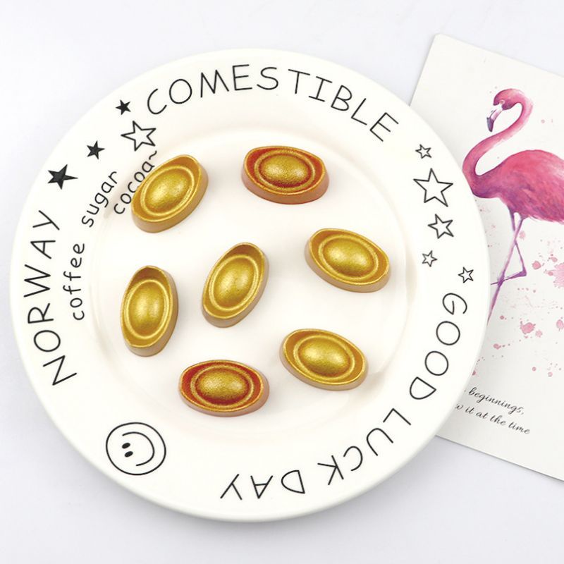 CETAKAN SILIKON COKLAT FONDANT PUDING GUMPASTE UANG EMAS CT41