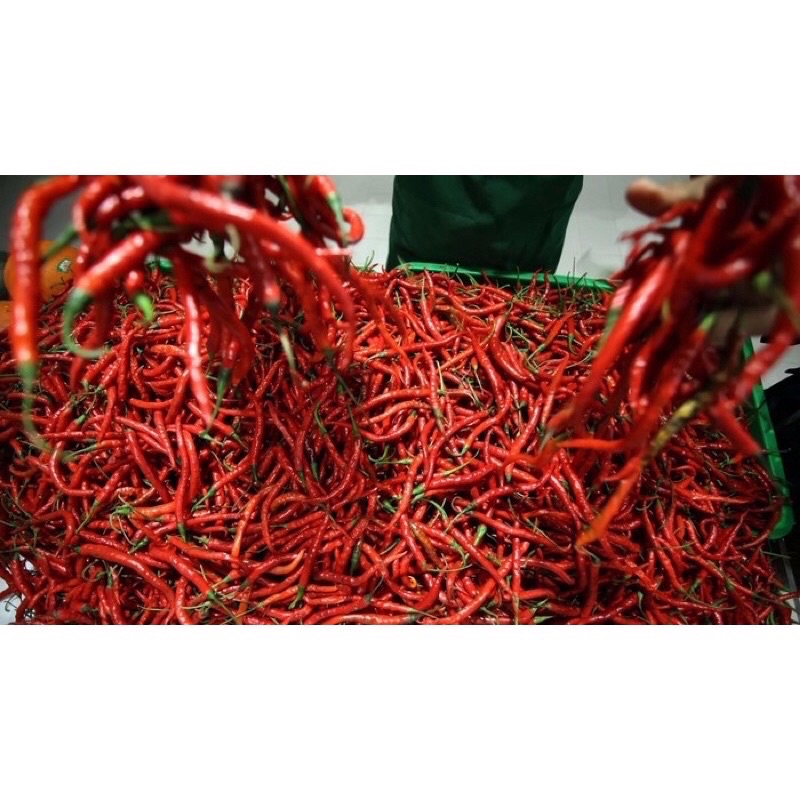 

Cabe merah gunung 250gr