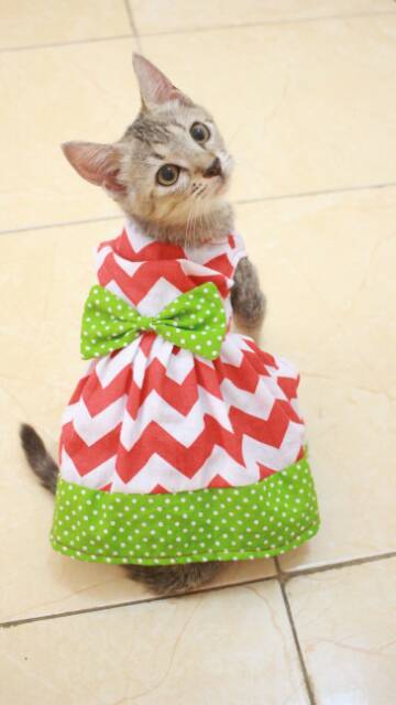 Dress rasa semangka dress kucing lucu murah baju kucing terlaris size S-XL