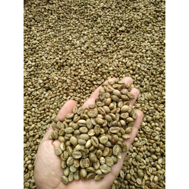 

Kopi Greenbean Robusta Atas Awan Lereng Gunung Dieng Banjarnegara 1043 MDPL
