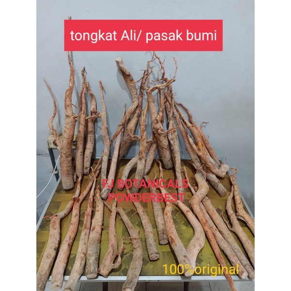 

pasaak bumi tongkatt alii 500gram
