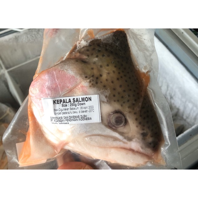 

Kepala ikan salmon norwegia