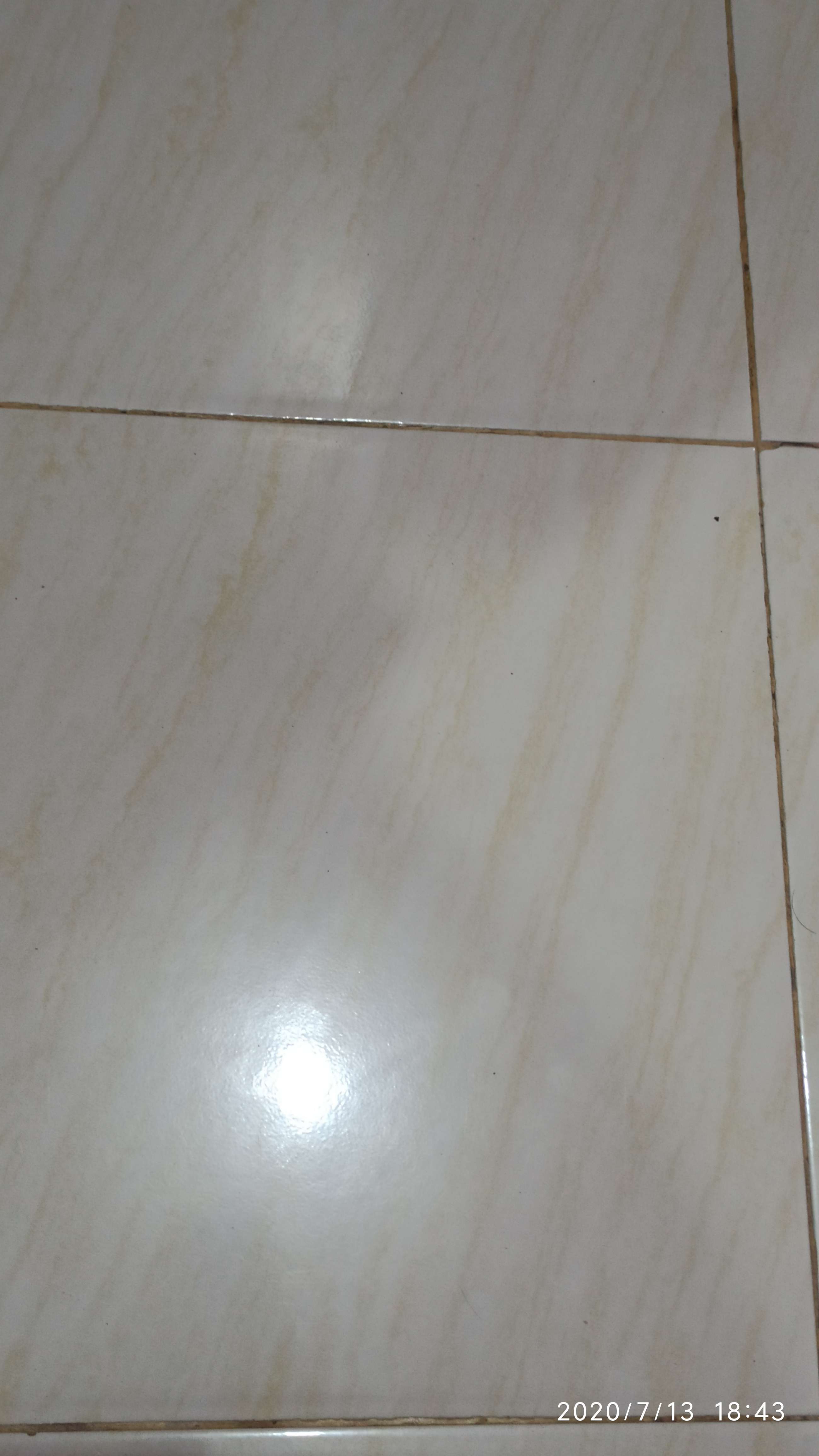 Biji/benih/bibit Bunga Tapak Dara Pink (20 Biji)