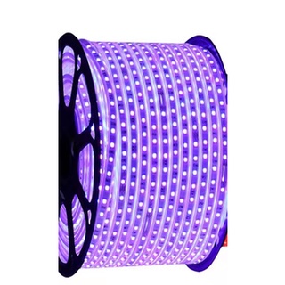 LAMPU LED STRIP SELANG 5050 SMD AC 220V METERAN (1M-100M) OUTDOOR AND INDOOR LAMPU PLAFON LAMPU HIAS