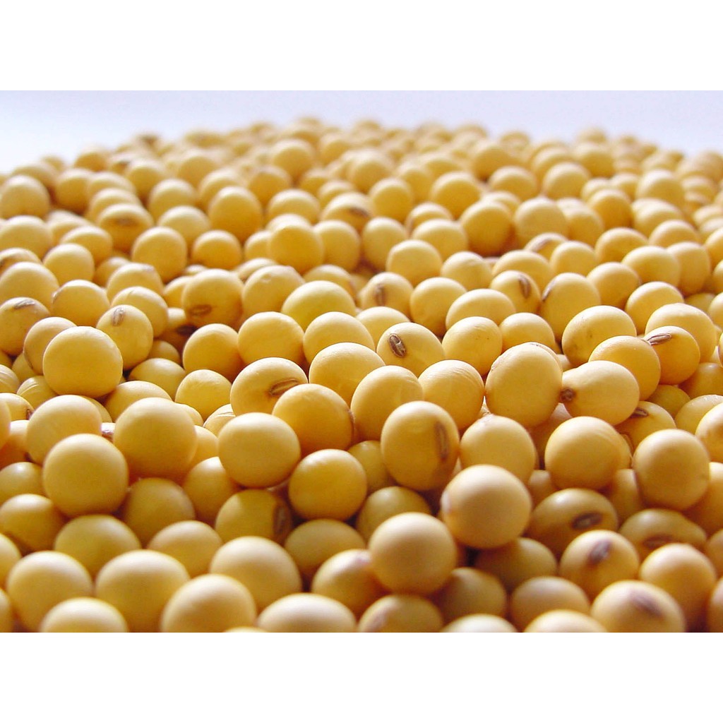 

Kacang Kedelai Murah [250 g] - RyuMart