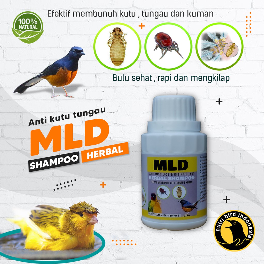 MLD Herbal Shampoo Burung Anti kutu , Tungau dan Anti Kuman