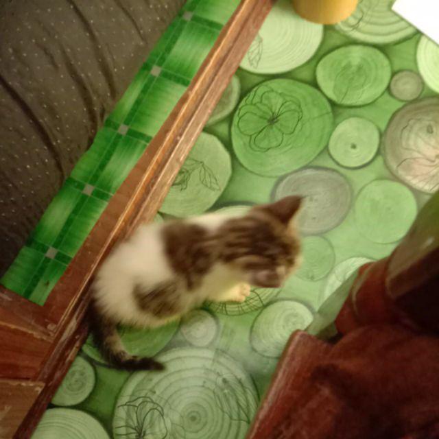 Gamis Batik Kombinasi Motif Seno