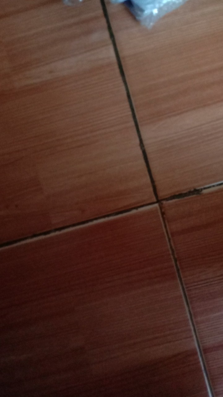 Panci Presto 8 Liter Panci Kukus 3 In 1 Alat Pelunak Duri Multifungsi Bonus Tutup Kaca