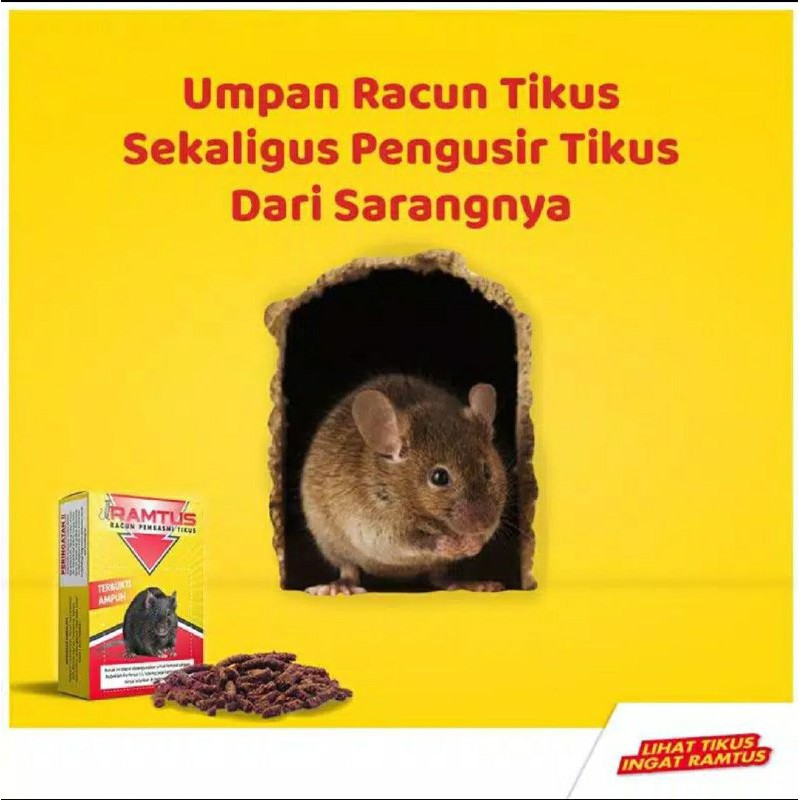 RAMTUS RACUN PEMBASMI TIKUS PALING AMPUH PENGUSIR TIKUS MATI KERING TIKUS HILANG DARI SARANGNYA