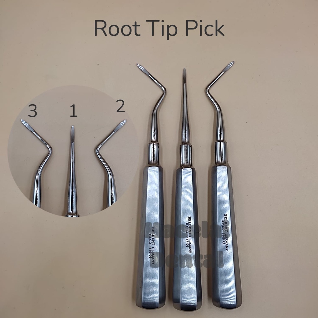 ROOT TIP PICK / BEIN ROOT ELEVATOR