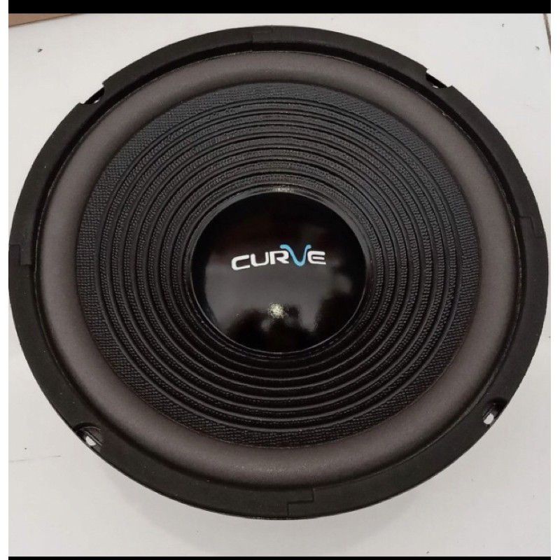 Speaker curve 10inch sub woofer