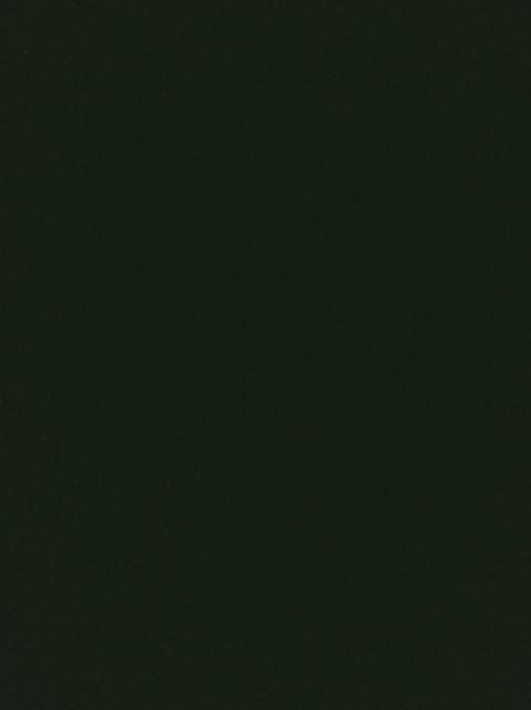 Sikat Cuci Eterna 414 Asli