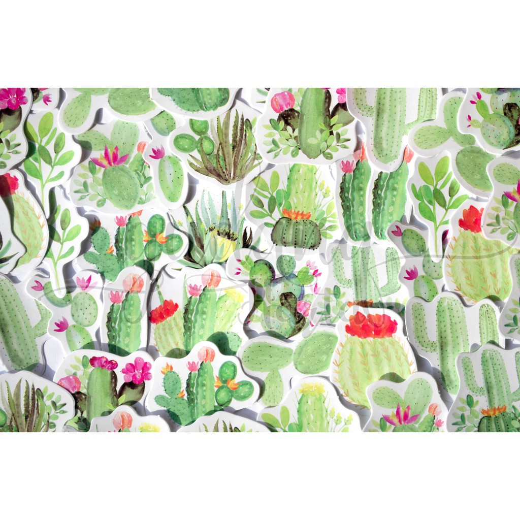 Stiker Cactus Lover Sticker Bunga Kaktus Unik DIY Scrapbook GH 303728