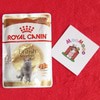 Royal Canin Adult British Shorthair Sachet 85gr - Makanan kucing