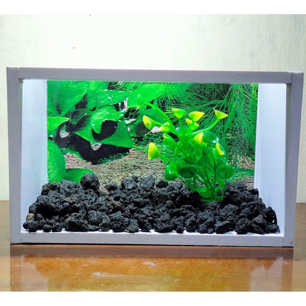 Aquarium Cm Harga Terbaik Hobi Koleksi Agustus 2021 Shopee Indonesia Aquarium tinggi 60 cm