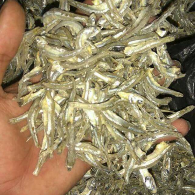 

Ikan bilis/ ikan teri/ ikan laut