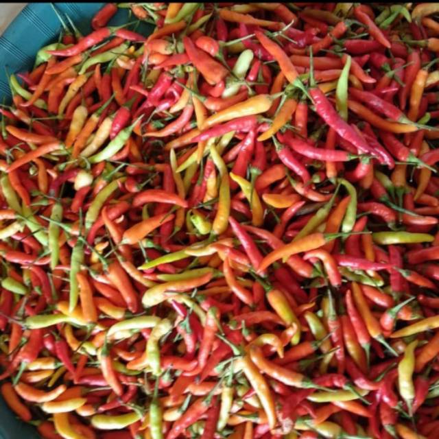 

Cabe Rawit Merah 500 gram