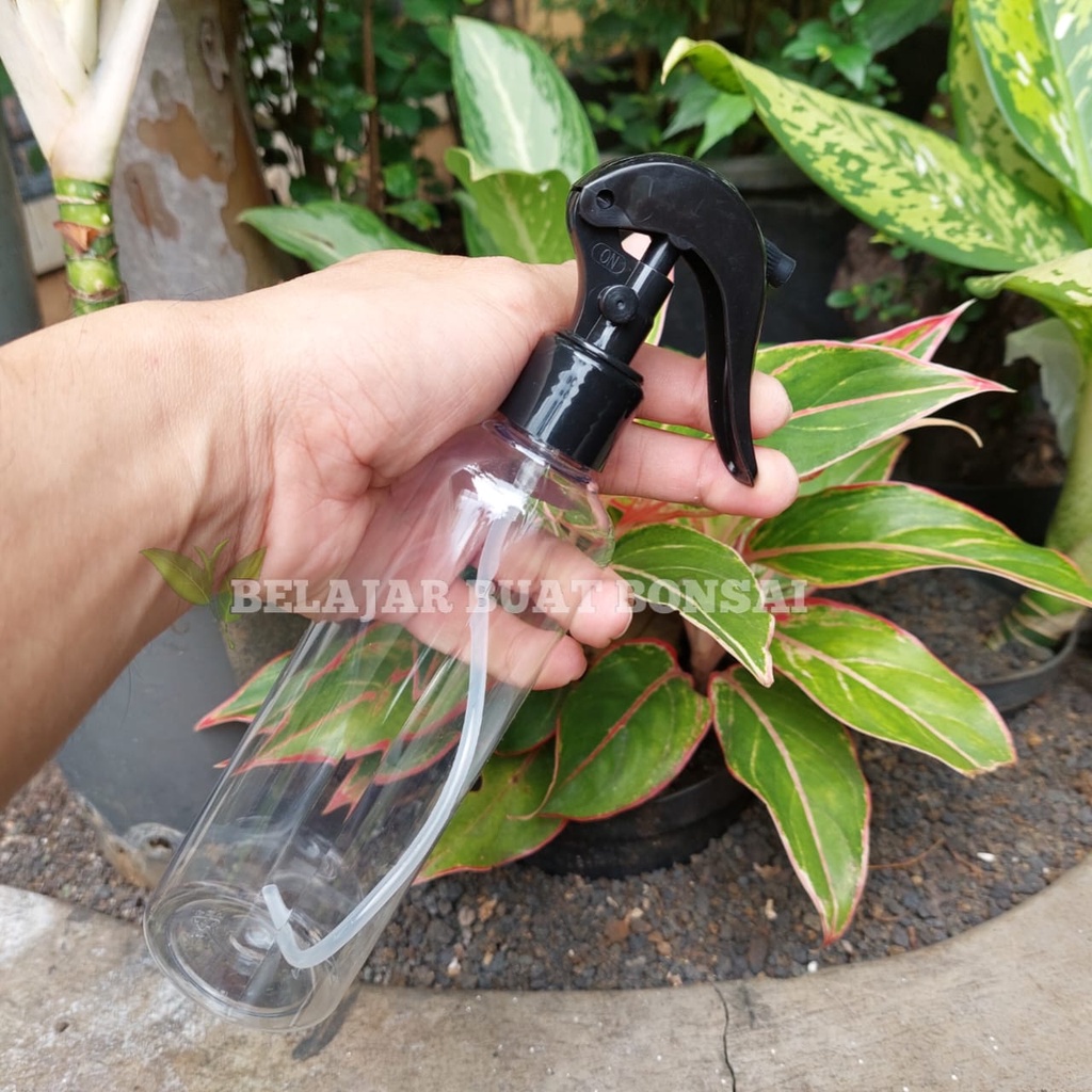 Botol Spray Trigger Dengan Safaty Lock 250 ml