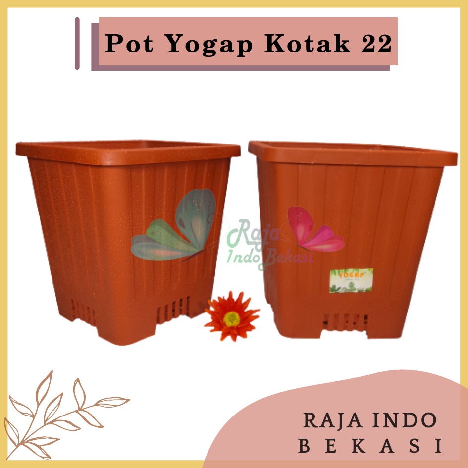 Pot Yogap Kotak 22 Merah Bata Coklat Terraccota Terakota Orange Pot Yogap 10 13 15 17 18 19 25 30 Pot Yogap Lusinan Pot Kotak Panjang Tinggi Pot Segi Persegi Empat Hias Panjang Plastik