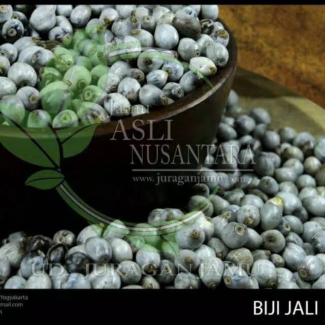 

1 Kg Biji Jali Utuh / biji jali-jali kulit 1000 gram / craft /