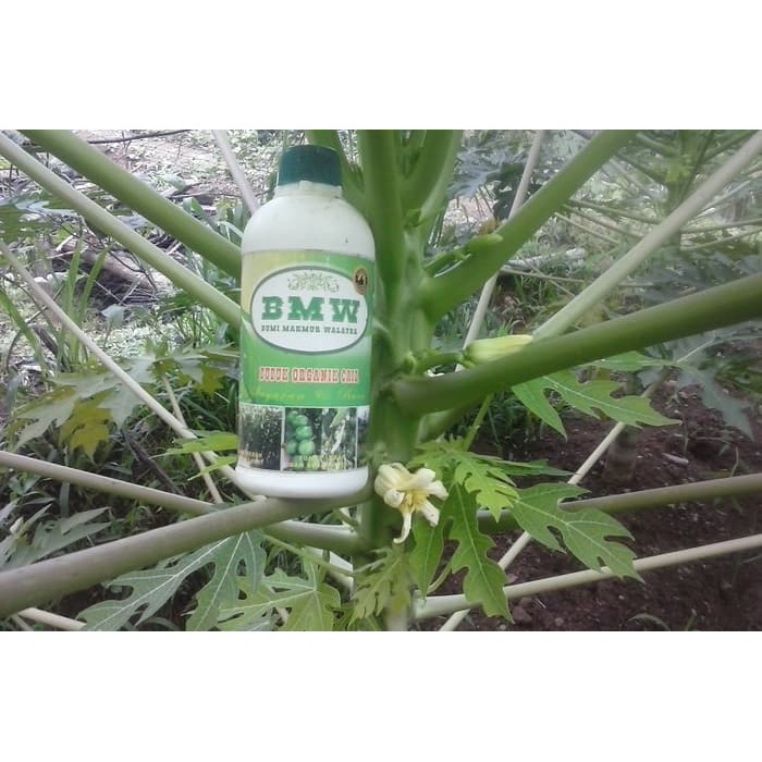 Pupuk Organik Cair - Poc (Bmw)