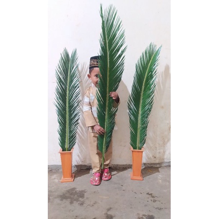Daun sikas , daun mawar jambe , mawar sikas super jumbo 80-120cm kualitas terbaik