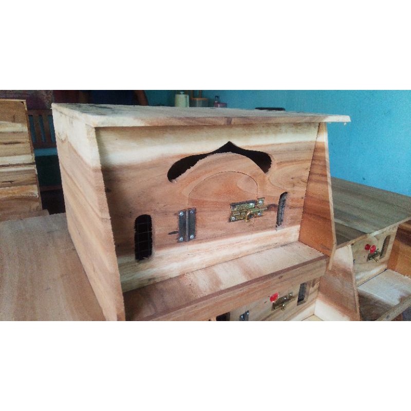 Gupon Merpati Teras // Rumah Merpati // Besar