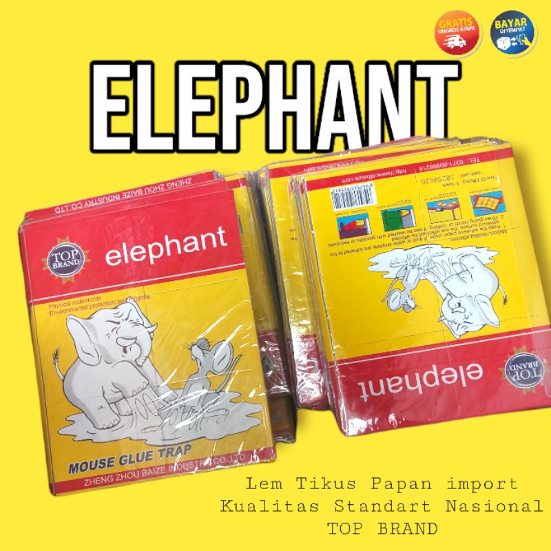 12pcs LEM TIKUS PAPAN CAP GAJAH IMPORT / LEM TIKUS PAPAN HIJAU / LEM TIKUS PAPAN KUNING GLUE BOARD M