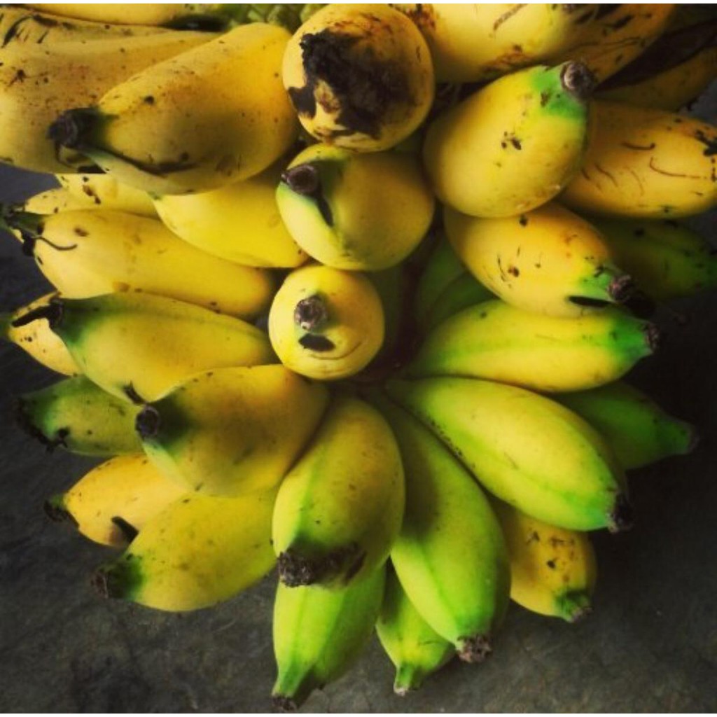 

Buah Pisang Muli Manis Pulen | Pisang Manis