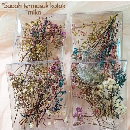 MIXED Dried Flowers (25-30 Tangkai)